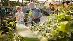 Couple Inside Greenhouse In Garden Centre Choosing And Buying Plants 