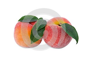 A couple of juicy pink-yellow peaches with green leaves isolated on a white background. Healthy summer snacks.