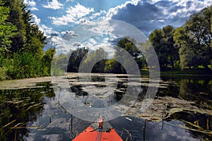 Couple kayaking together in mangrove river.