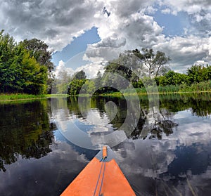 Couple kayaking together in mangrove river.