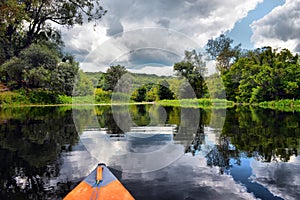 Couple kayaking together in mangrove river.