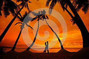 Couple kissing at tropical beach with palm trees with sunset in