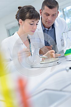 couple lab assistants looking at assay reagent photo
