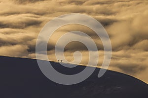 A Couple of Local Ants Prepare to Ski into the Clouds Turnagain Pass, Alaska