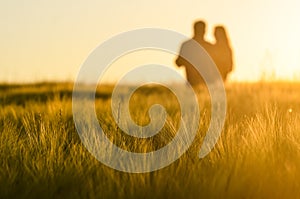 Couple in love have fun together in gold rye field in summer sunset light