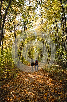 Couple love hiking through the beautiful deciduous forest with autumn leaves. A trip of two people in love in autumn season