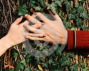 Couple in love near tree. Mans and womans hands