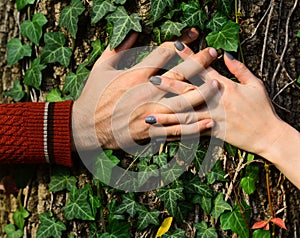 Couple in love near tree. Mans and womans hands