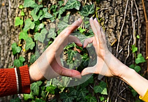 Couple in love near tree. Mans and womans hands