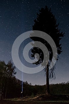 Couple in love standing near the high pine under the starry sky