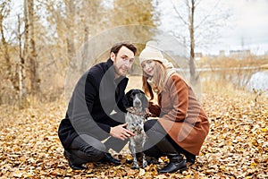 Couple in love on a warm autumn day walks in the Park with a cheerful dog Spaniel. Love and tenderness between a man and a woman