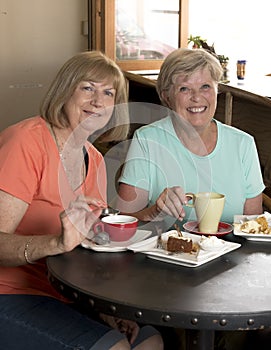 Couple of lovely middle age senior mature women girlfriends meeting for coffee and tea with cakes at coffee shop sharing time
