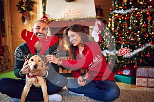 Couple making fun with puppy