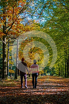 couple man and woman mid age walking in the forest during Autumn season in nature trekking with orange red color trees