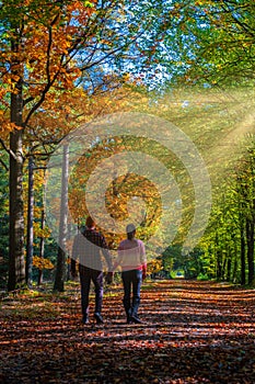 couple man and woman mid age walking in the forest during Autumn season in nature trekking with orange red color trees