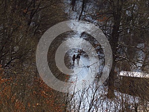 A couple, man and woman walking in the forest in winter. Gloomy winter forest landscape.