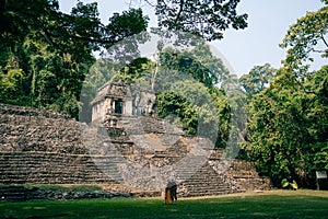 couple in Mayan ruins in Palenque, Chiapas, Mexico.