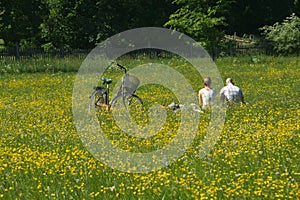 Couple in a meadow