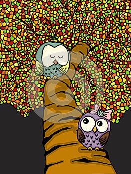 Couple owls on colorful tree