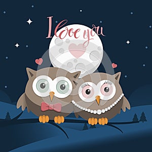 Couple of owls in love at night with message