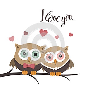 Couple of owls in love on a white background and message