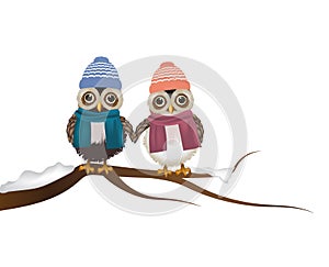 Couple of owls with scarf and hat holding hands