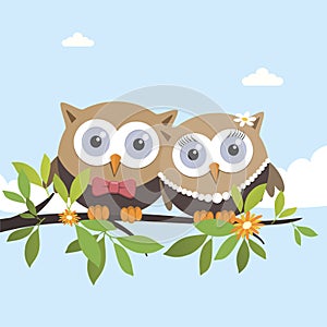 Couple of owls on a spring day