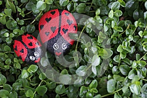 A Couple of Painted Lady Bug Kindess Rocks with Heart Designs on Green Plant Background