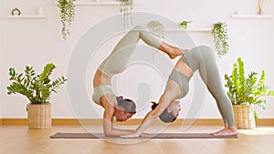 Couple and paired Asian young woman on yoga mat doing breathing exercise yoga Downward Facing dog and forearm stand together.Yoga