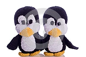 Couple of penguin