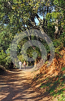 Couple people hiking in Natural Park Sierra de Aracena and Picos de Aroche, Huelva province, Spain