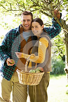 Couple picking apples in garden