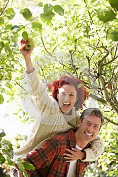 Couple picking apples off tree