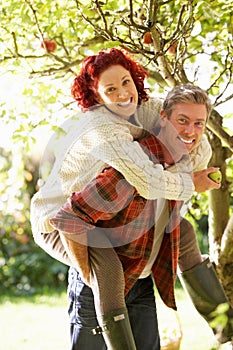 Couple picking apples off tree