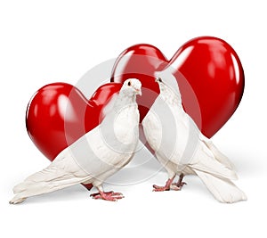 Couple pigeons and red hearts