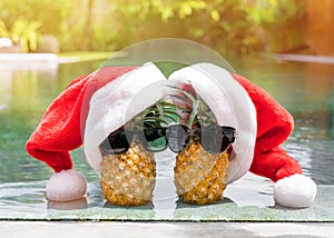 Couple pineapples on winter holidays