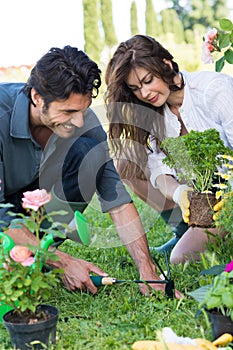 Couple Planting Plant In Garden