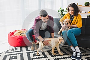 Couple playing with two labrador puppies while sitting