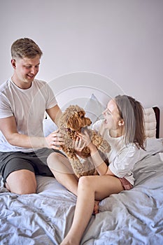 a couple plays with a cockapoo girl on a bed, minimalism