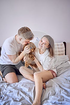 a couple plays with a cockapoo girl on a bed, minimalism