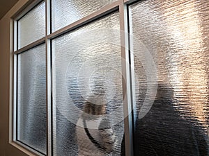 Couple queuing behind textured a frosted glass