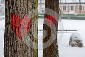 Couple of red hearts painted on a trunk of an old tree in a park in winter with snow