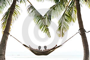 a couple relaxing in a hammock between two palm trees
