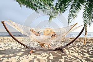 Couple relaxing in hammock under green leaves on beach