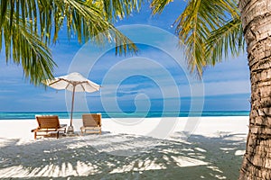 Couple romantic honeymoon anniversary getaway. Tropical Mediterranean resort, two chairs umbrella under palm trees