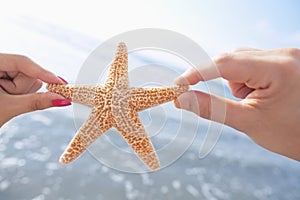 Couple`s hands holding starfish at the beach