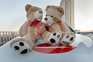 Couple of sitting teddy bears on the car , gift, Valenti