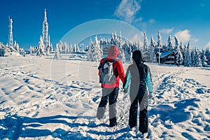 Couple in ski suits with backpack looking at beautiful view with snowy fir trees covered by snow in frozen mountains landscape.