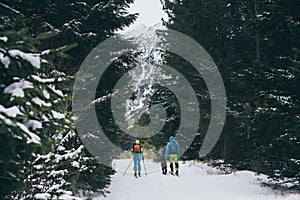 Couple skiing cross country with a dog in High Tatra mountains in winter, Slovakia