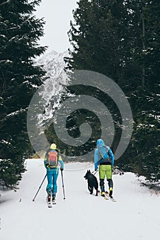 Couple skiing cross country with a dog in High Tatra mountains in winter, Slovakia